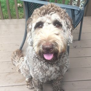 Meet your Posher, Heather